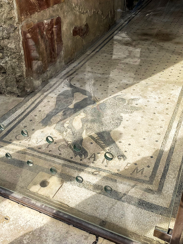 設計士が歩くポンペイ ―― 2000年前の都市デザインを訪ねて　～イタリア研修旅行［4］～